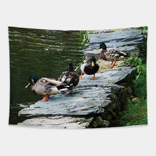 Birds - Ducks By a Pond Tapestry