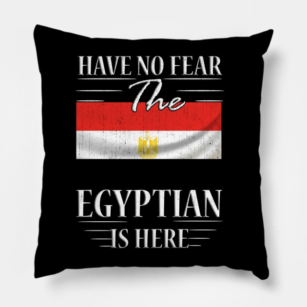 Have No Fear The Egyptian Is Here Pillow by silvercoin