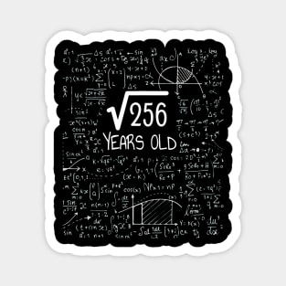 16th Birthday Square Root of Years Old Magnet