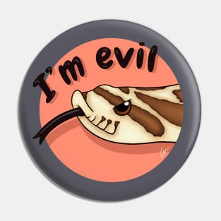 Cute Normal Western Hognose Snake, "I'm evil" Pin