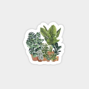 House Plants Illustration 13 Magnet