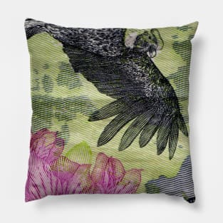 Condor Pillow