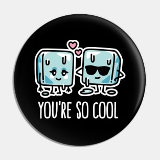 You're so cool Cube ice lovers pun Kawaii couple Pin