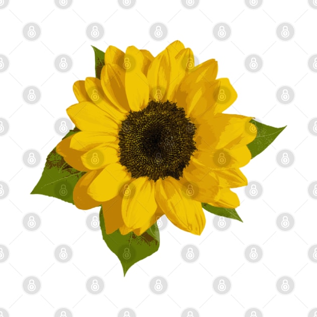 Sunflower by broadwaygurl18