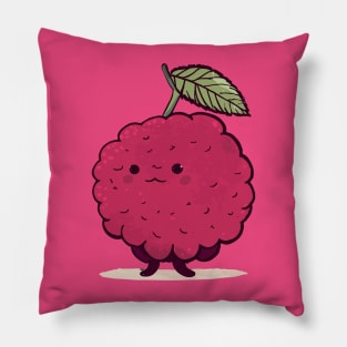 Raspberry Pillow