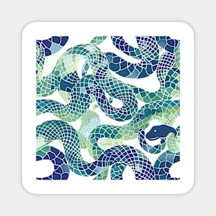 Blue and Green Snake Skin Magnet