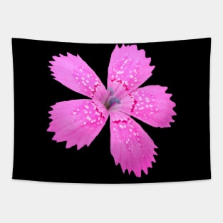 unique pink flower, bloom, flowers, petals, blooming Tapestry