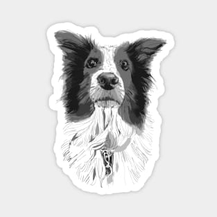 Australian Shepard Graphic Magnet