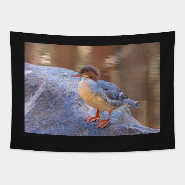 Merganser Tapestry by jvnimages