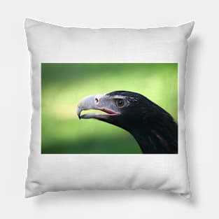 Wedge Tail Portrait Pillow