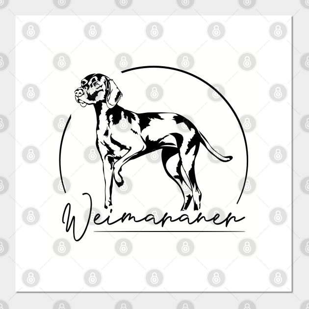 Great Gift for Weimaraner lovers Weimaraner Personality Trait Poster