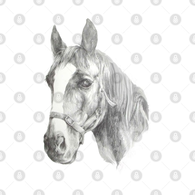 Stunning, realistic drawing of a horse by StudioFluffle