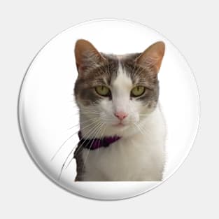 Tabby Cat Head Shot Pin