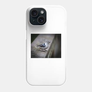 Nuthatch Close-up Phone Case