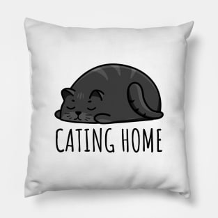 Black Cat Cating Home Pillow