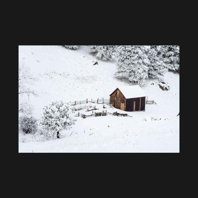 Barn in the woods by gdb2