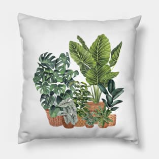 House Plants 11 Pillow