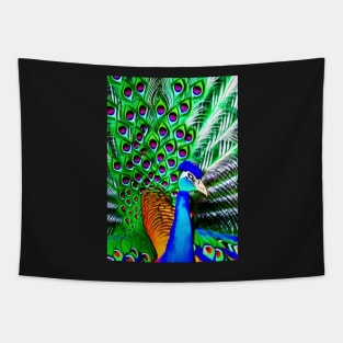 COLORFUL AND STUNNING SURREAL PEACOCK Tapestry