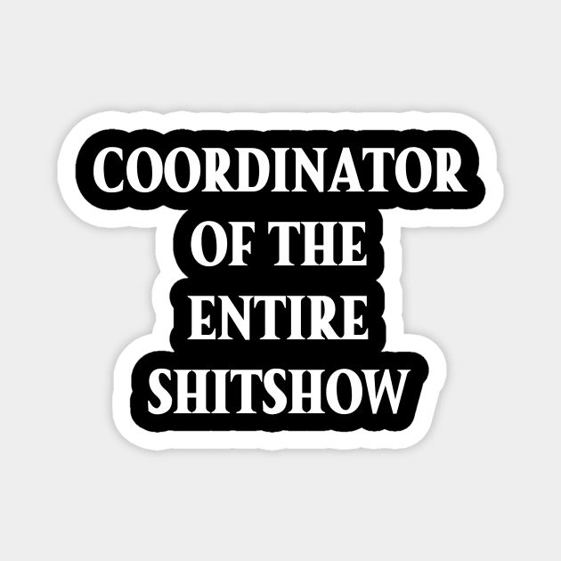 Mens funny sarcastic coordinator Magnet by Banned Books Club