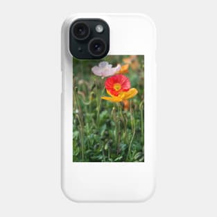 Poppies 2 Phone Case