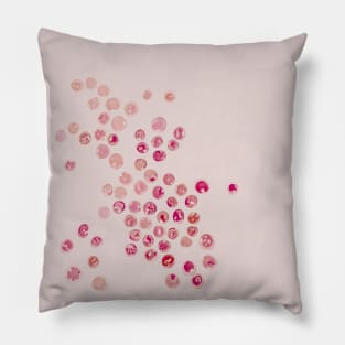 Porphyridium cruentum Pillow