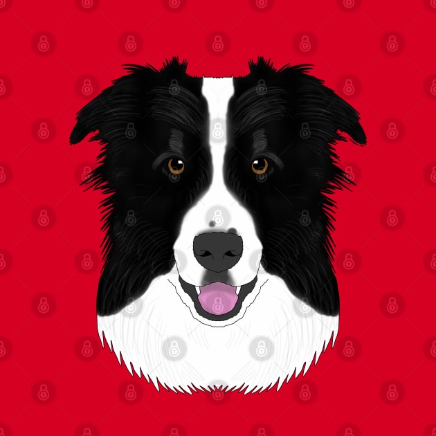 Border Collie by childofthecorn