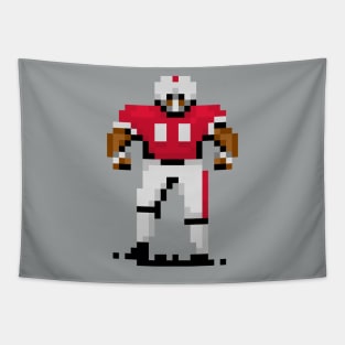 16-Bit Football - Raleigh Tapestry