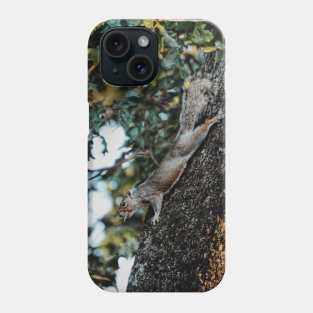 Swole Eastern Gray Squirrel Phone Case