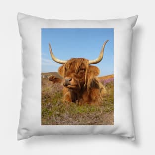 Highland Cow Pillow