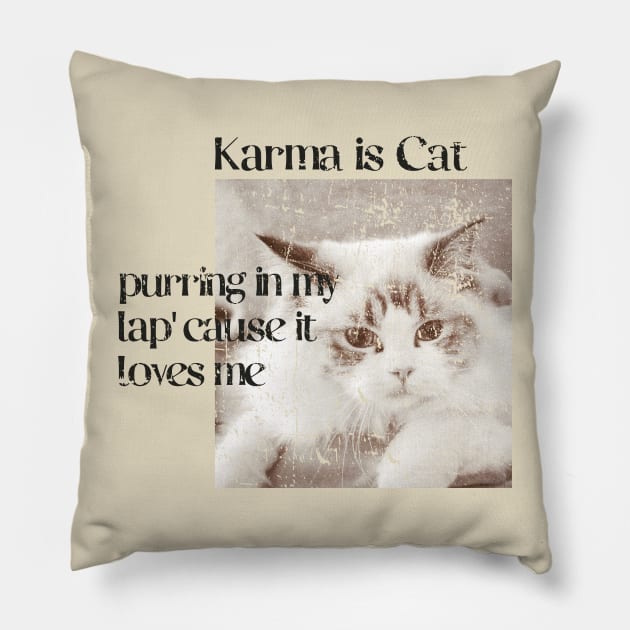 Karma is a cat funny Pillow by FFAFFF