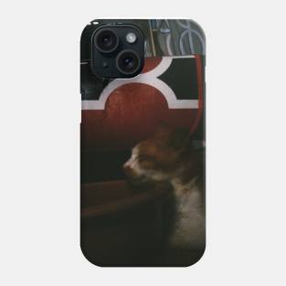 Cat Shelter Phone Case