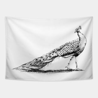 Black and White Peacock Print Tapestry