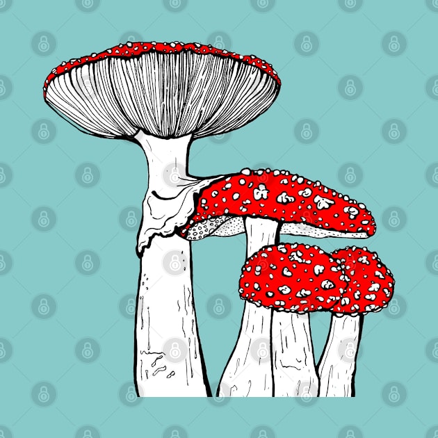 Fly agaric mushroom illustration by iefae