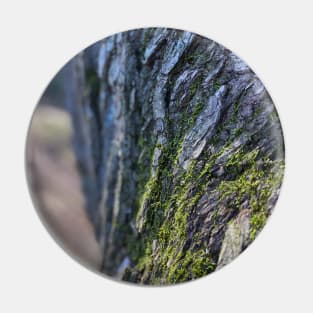 Mossy Tree Bark Pin