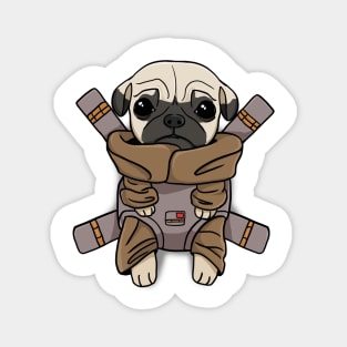 Pug Baby Dog Magnet