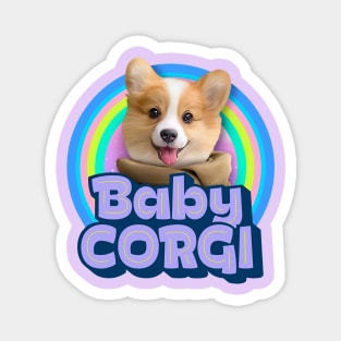 Baby Corgi Magnet