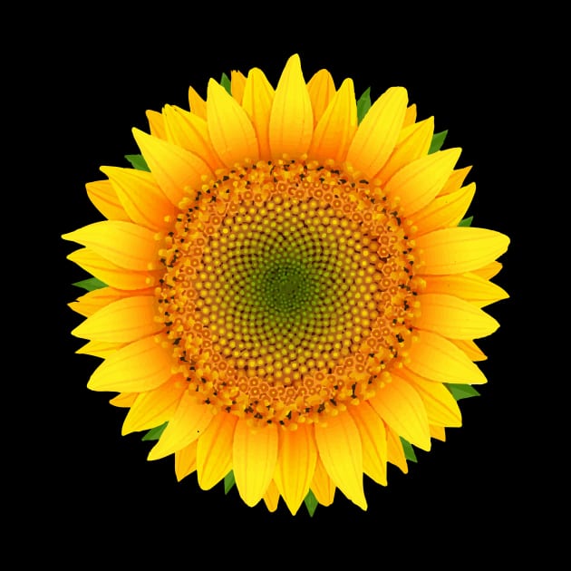 sunflower ,tournesol by twistore