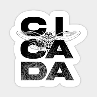 CICADA Magnet