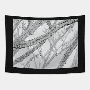 Ice Abstract Tapestry