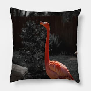 Beautiful Pink Flamingo Stylish Photography Pillow