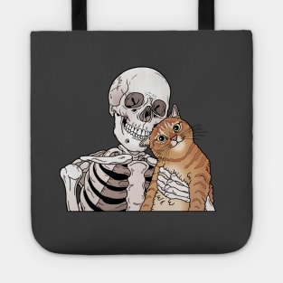 Orange tabby cat friend Tote