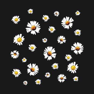 Daisy Collage (Bellis perennis, Asteraceae) T-Shirt