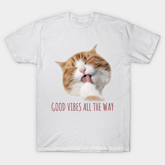 Perfectly Happy Ginger Cat Ginger Cat Funny T Shirt Teepublic