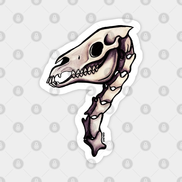 Horse Skull Magnet by Jan Grackle