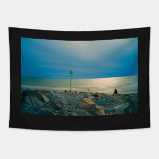 DINLLE DELIGHT Tapestry