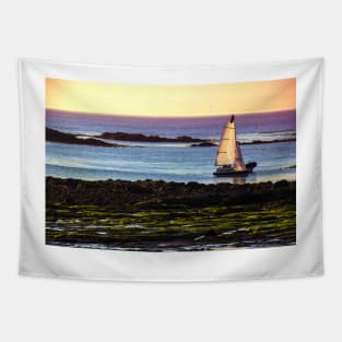 Scottish Bay on a summer evening Tapestry