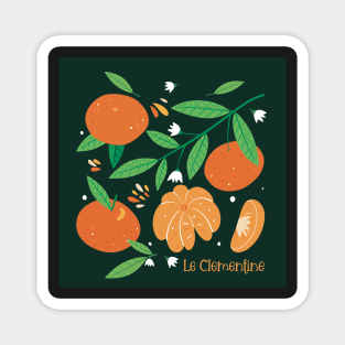 Clementines, the sweet and tasty fruits Magnet