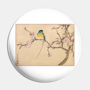 Bird with Plum Blossoms by Zhang Ruoai Pin