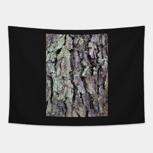 BARK Tapestry