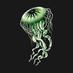 Aromantic Pride Jellyfish T-Shirt